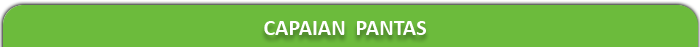 capaian pantas